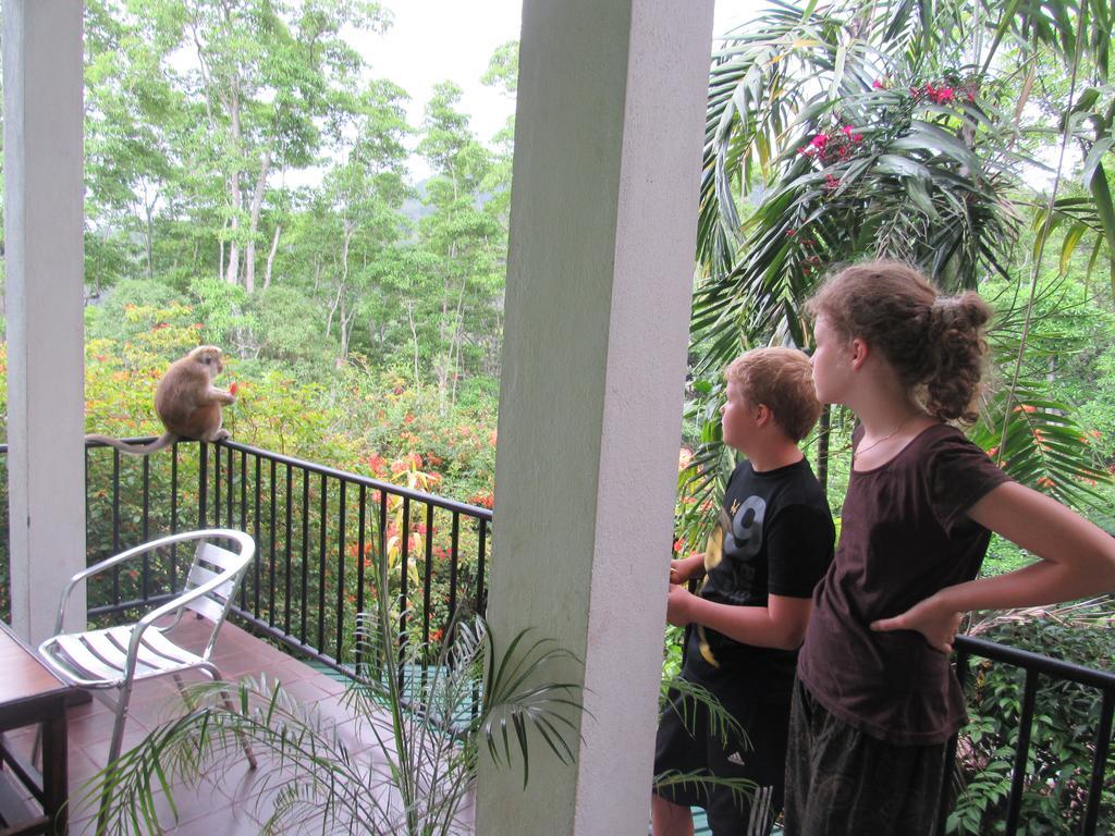 Hanthana Holiday Rooms Kandy Zewnętrze zdjęcie